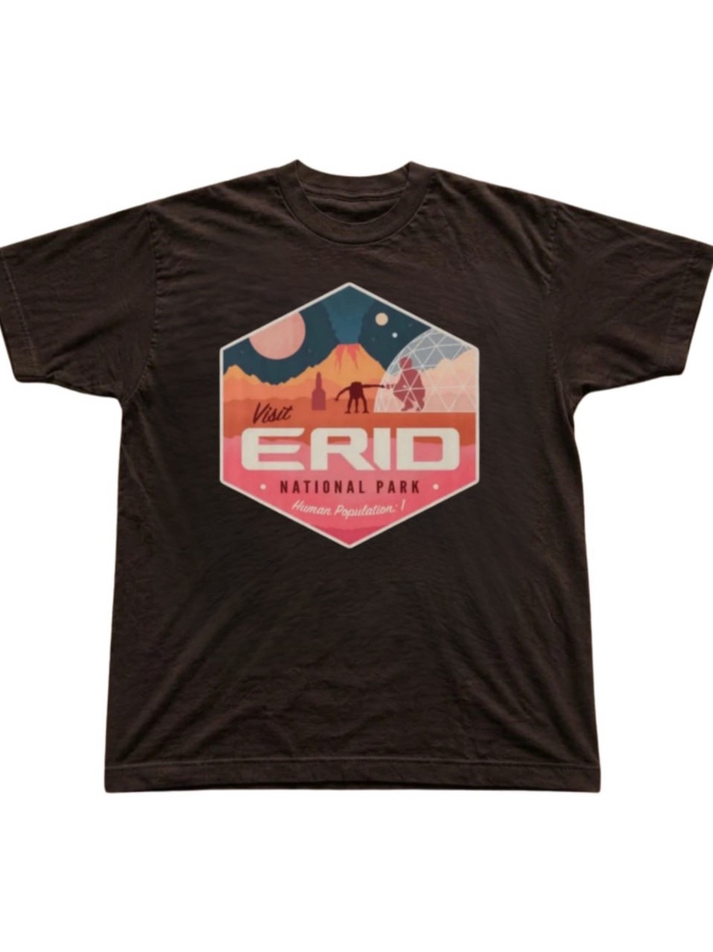 Gildan Brown Visit ERID National Park Graphic Tee